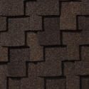 Autumn Brown
