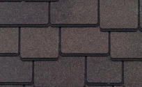 Woodberry Brown
