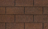 Autumn Brown