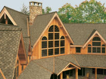 Cedar